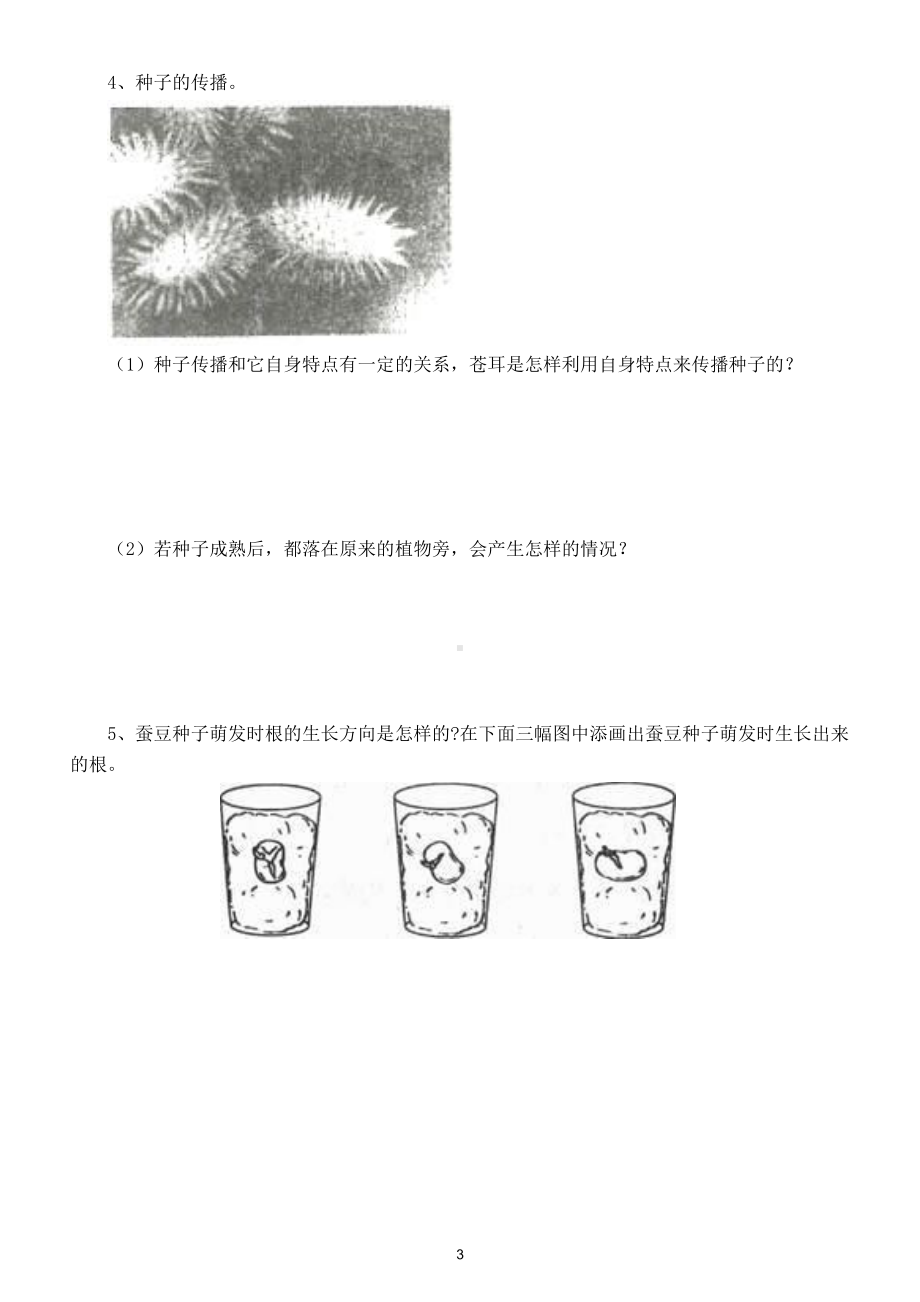 小学科学苏教版四年级下册第四单元第12课《用种子繁殖》练习题5.doc_第3页