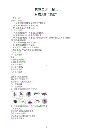 小学科学苏教版四年级下册第三单元《昆虫》教案5.doc