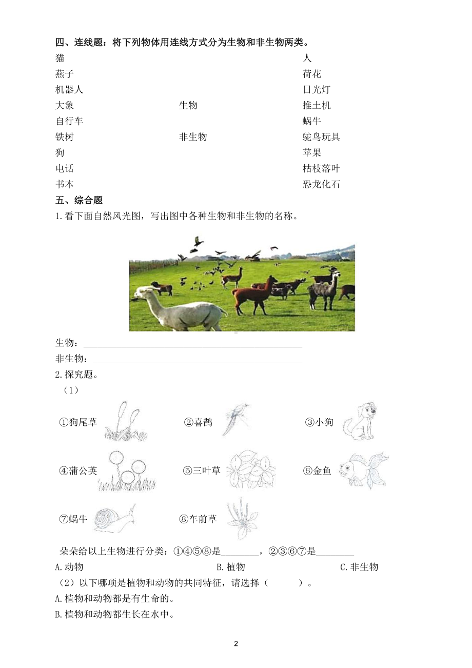 小学科学苏教版四年级下册第五单元《生物与环境》练习题5.doc_第2页