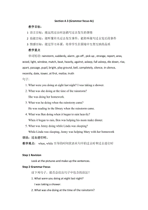 人教版八下-Unit 5 what were you doing when the rainstorm came -Section A Grammar focus 4a—4c-教案、教学设计-省级优课-(配套课件编号：93457).doc