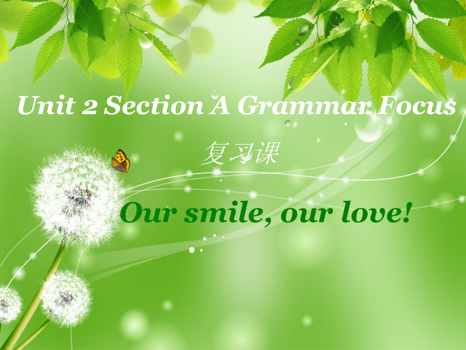 人教版八下-Unit 2 I 'll help to clean up the city parks -Section A Grammar focus 4a—4c-ppt课件-(含教案+视频+音频+素材)-市级优课-(编号：e03e4).zip