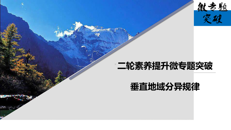 垂直地域分异律（公开课上课PPT课件）.ppt_第1页