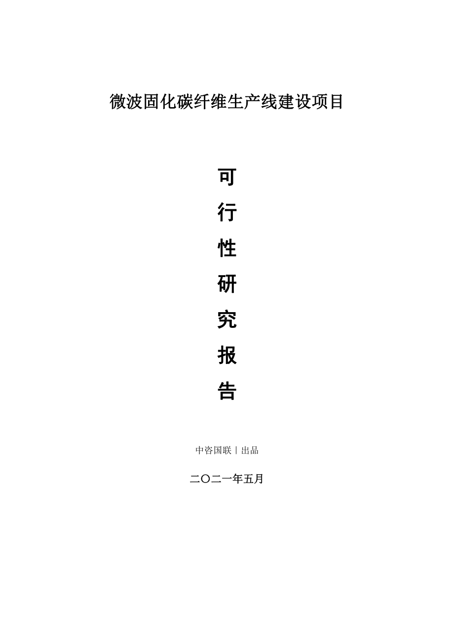 微波固化碳纤维生产建设项目可行性研究报告.doc_第1页