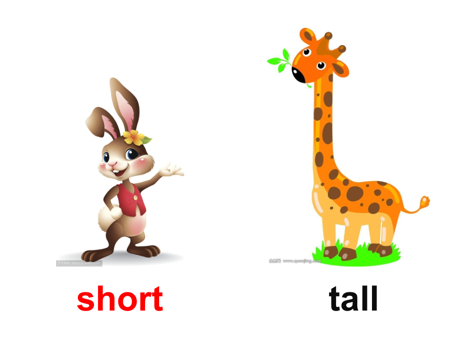 3 all about me_lesson 14 are you short or tall _ppt课件_(含教案)