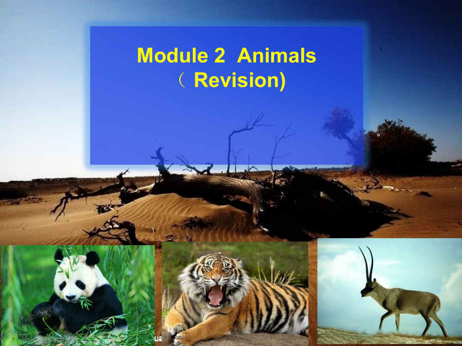 教科版（广州）六下Module 2 Animals-Unit 4 We can save the animals-Fun with language-ppt课件-(含教案)-公开课-(编号：800ae).zip