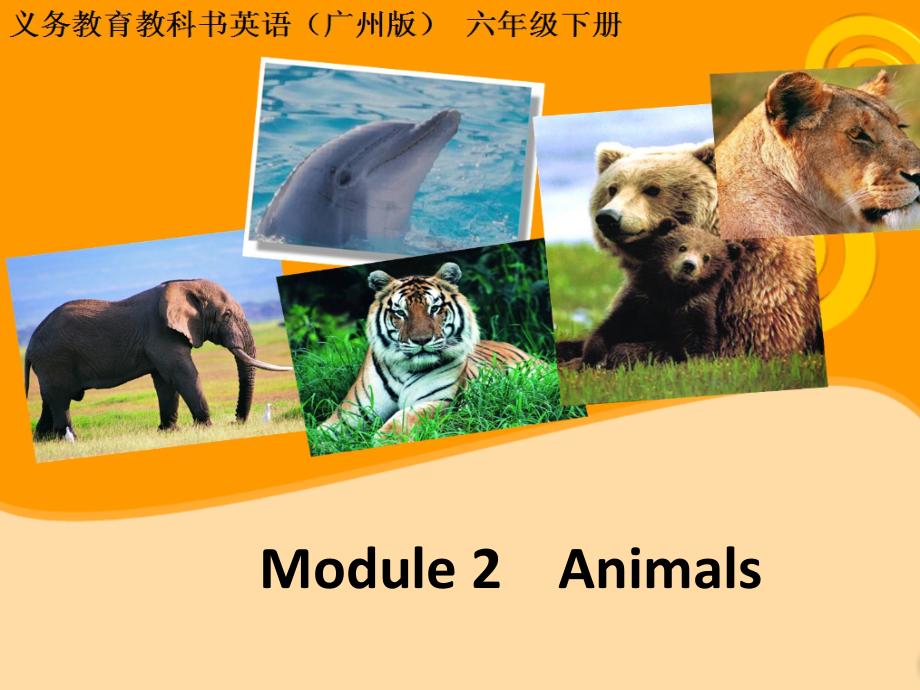 教科版（广州）六下Module 2 Animals-Unit 4 We can save the animals-Fun with language-ppt课件-(含教案+素材)--(编号：806bd).zip