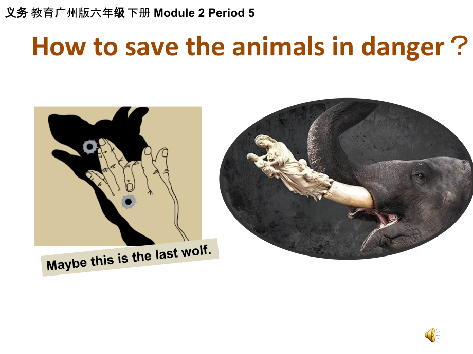 教科版（广州）六下Module 2 Animals-Unit 4 We can save the animals-Let's read-ppt课件-(含教案+视频+音频+素材)-部级优课-(编号：34252).zip