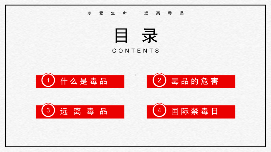 国际禁毒日珍爱生命远离毒品主题教育PPT模板下载.pptx_第2页