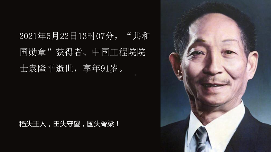 缅怀袁隆平-2022年高中主题班会课件.pptx_第2页