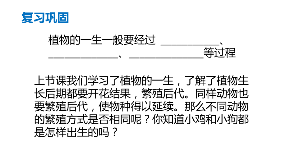 2021新冀教版四年级下册科学《8卵生与胎生》ppt课件.pptx_第2页