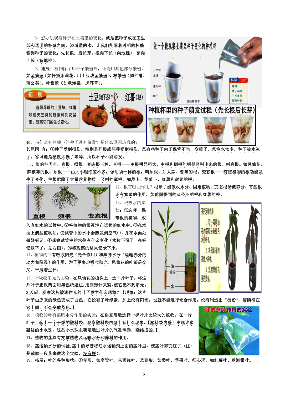 2021新教科版四年级下册《科学》全册知识点总结（期末复习资料）.doc_第2页