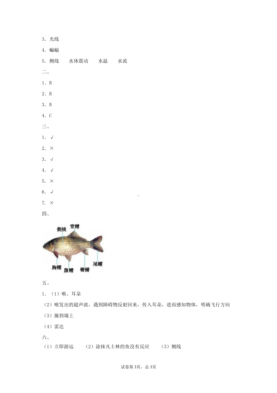 2021新冀教版三年级下册科学9.动物的特殊感官 一课一练（含答案）.docx_第3页