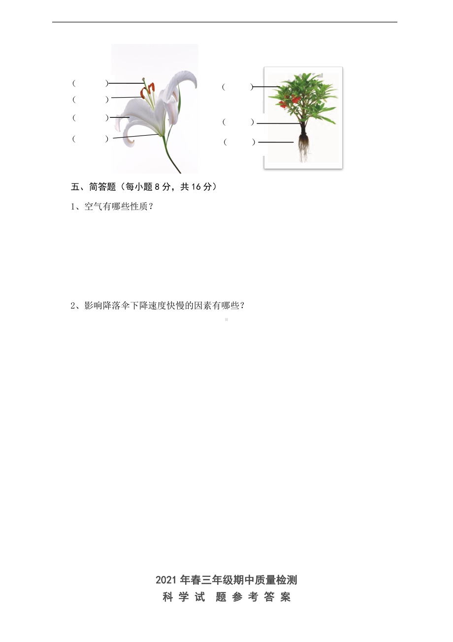 2021新人教鄂教版三年级下册科学期中测试卷（含答案）.doc_第2页