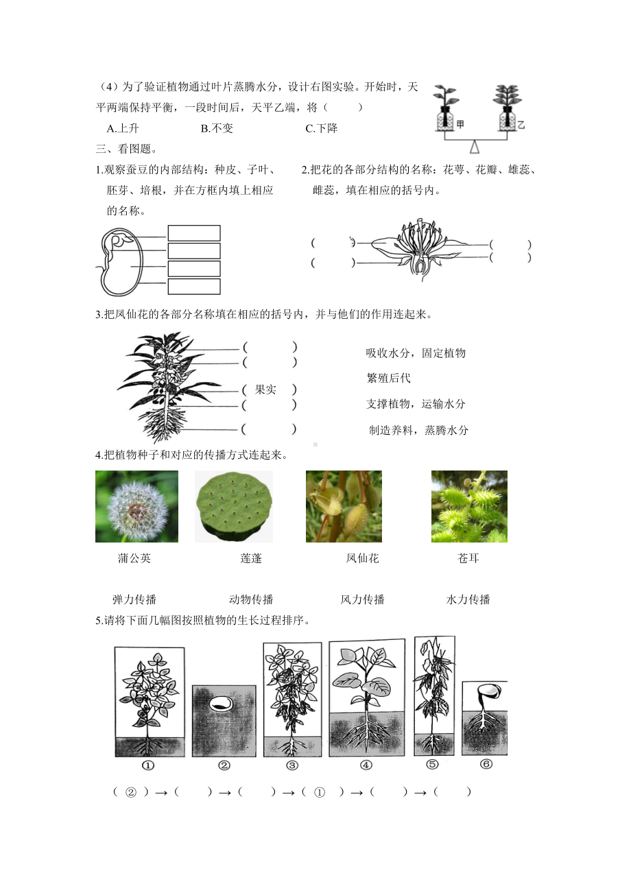 2021新教科版四年级下册科学期中质量检测试卷（含答案）.doc_第3页