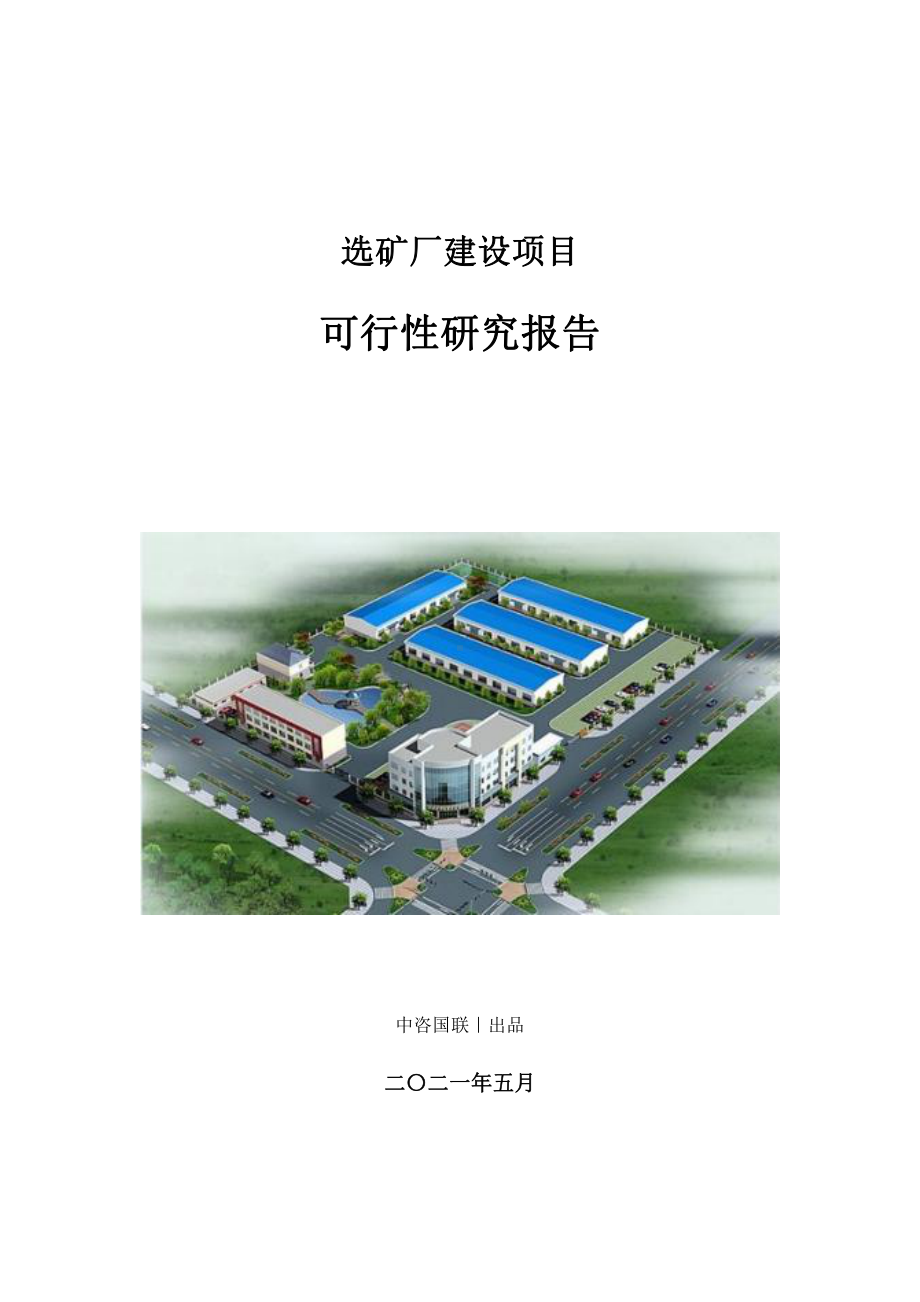 选矿厂建设项目可行性研究报告.doc_第1页