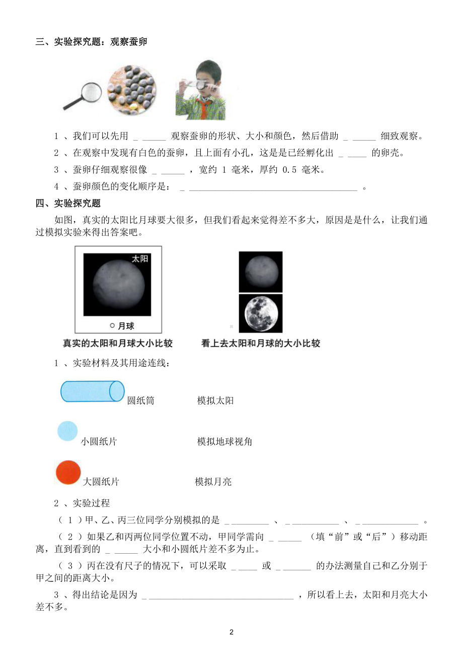 小学科学教科版三年级下册《实验探究题》专项练习（共4套附参考答案）.doc_第2页