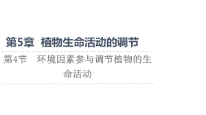 （新教材）2022版人教版生物选择性必修1课件：第5章 第4节　环境因素参与调节植物的生命活动 .ppt