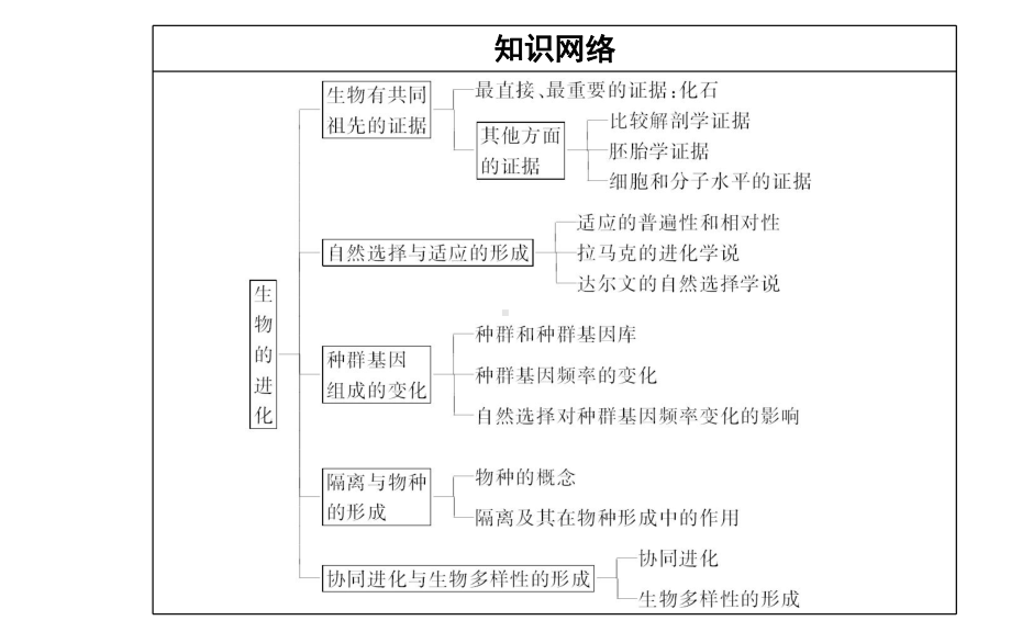 （新教材）2022年高中生物人教版学业水平合格考试复习课件：专题十一 生物的进化.PPT_第3页