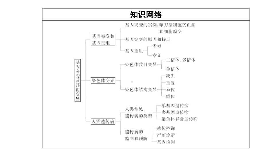 （新教材）2022年高中生物人教版学业水平合格考试复习课件：专题十 基因突变及其他变异.PPT_第3页