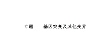 （新教材）2022年高中生物人教版学业水平合格考试复习课件：专题十 基因突变及其他变异.PPT