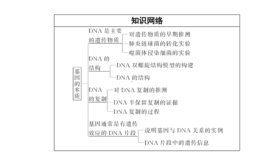 （新教材）2022年高中生物人教版学业水平合格考试复习课件：专题七 基因的本质.PPT_第3页