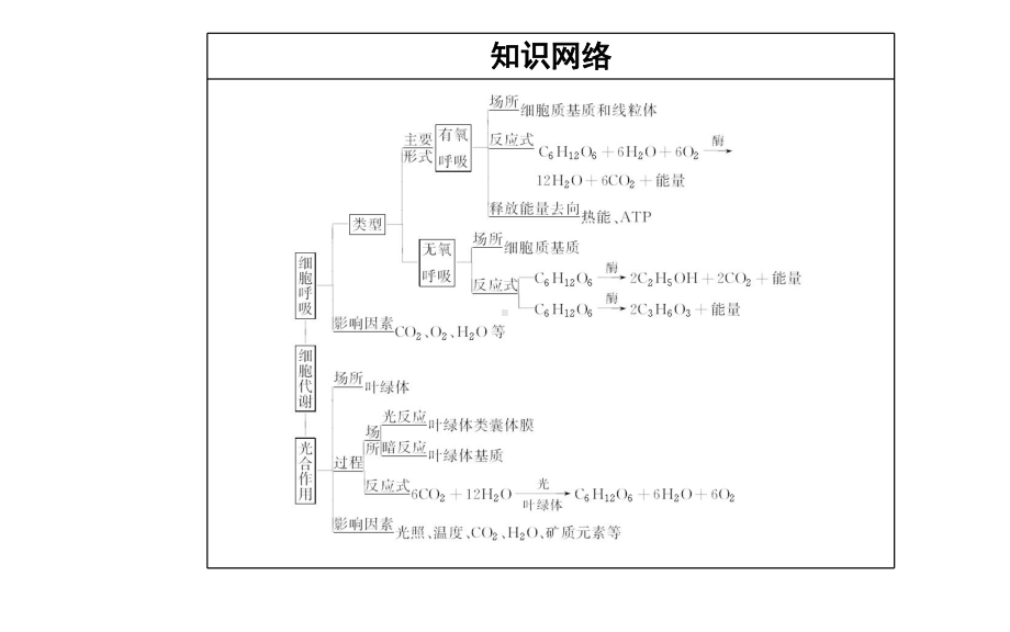 （新教材）2022年高中生物人教版学业水平合格考试复习课件：专题四 细胞代谢.PPT_第3页