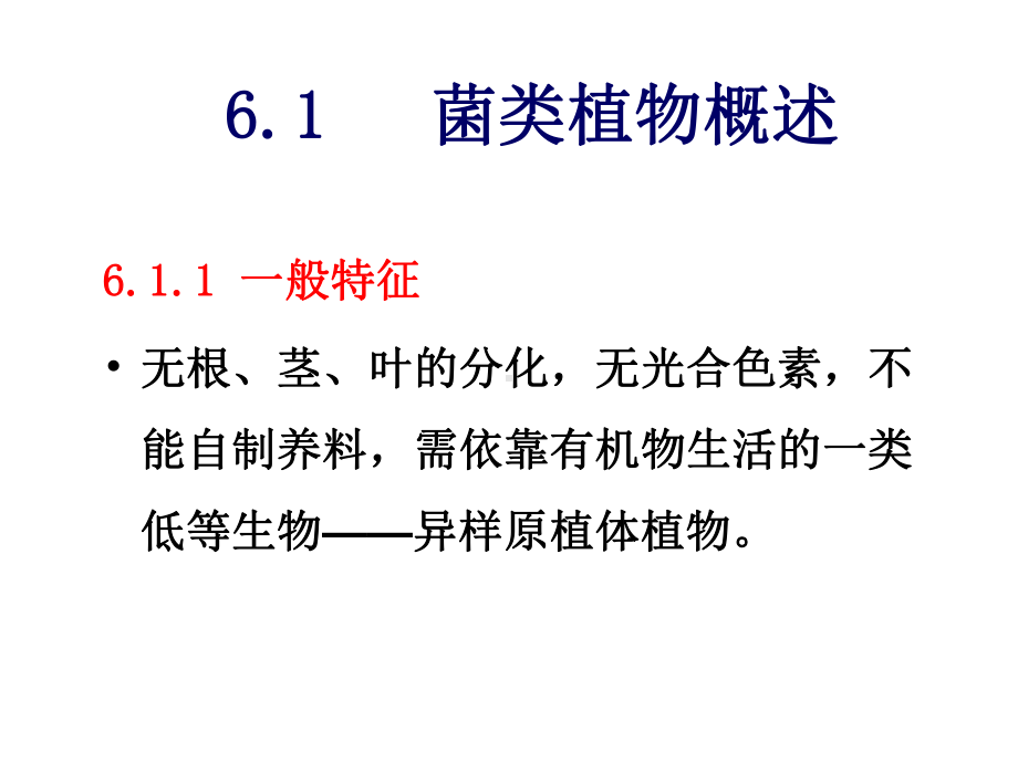 2022高中生物竞赛第6章 菌类植物课件.ppt_第2页