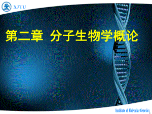 2022高中生物竞赛分子生物学课件.ppt