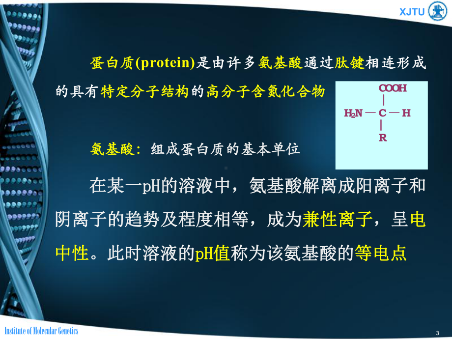 2022高中生物竞赛分子生物学课件.ppt_第3页