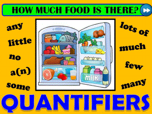 词性量词quantifiers-冰箱里的食物 游戏课件.pptx