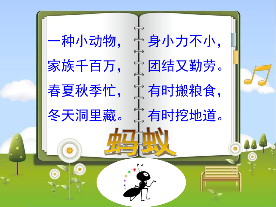 大象社小学科学三上 1. 寻访蚂蚁（市一等奖）优质课.ppt_第1页