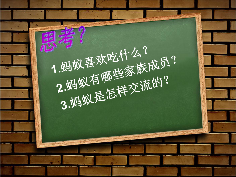 大象社小学科学三上 1. 寻访蚂蚁（市一等奖）优质课.ppt_第3页