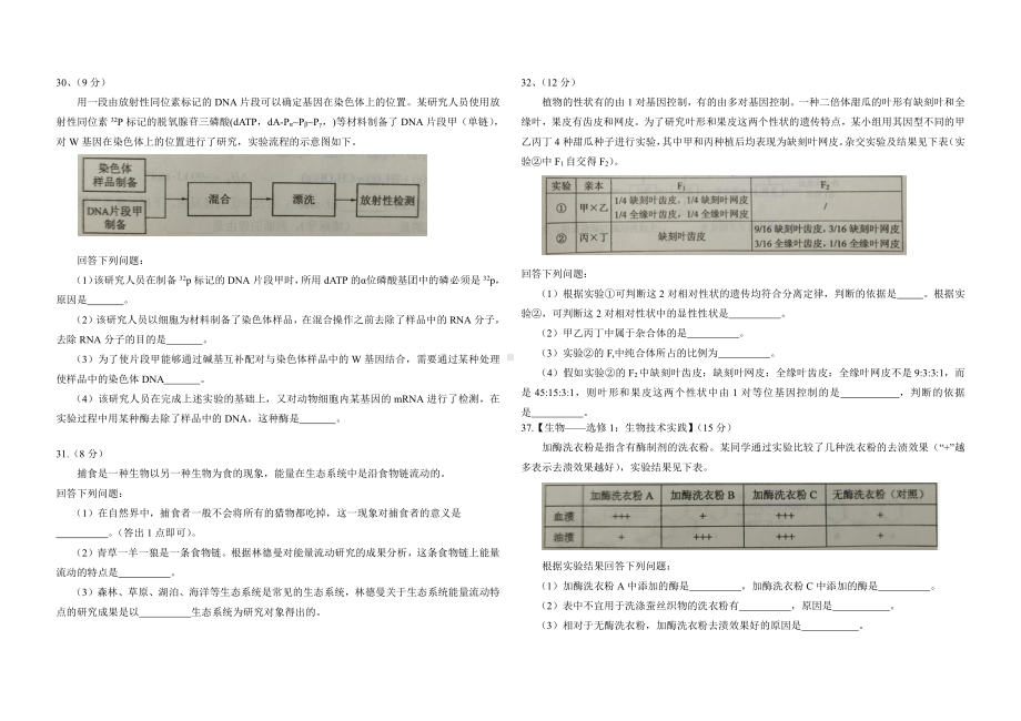 2021年普通高等学校招生全国统一考试-生物试题.docx_第2页