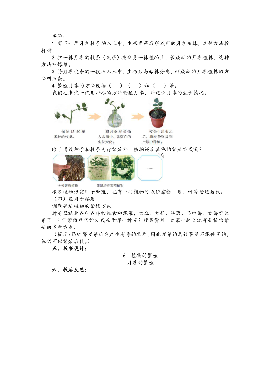 2021新冀教版四年级下册《科学》6 植物的繁殖 教案（2课时）.docx_第2页