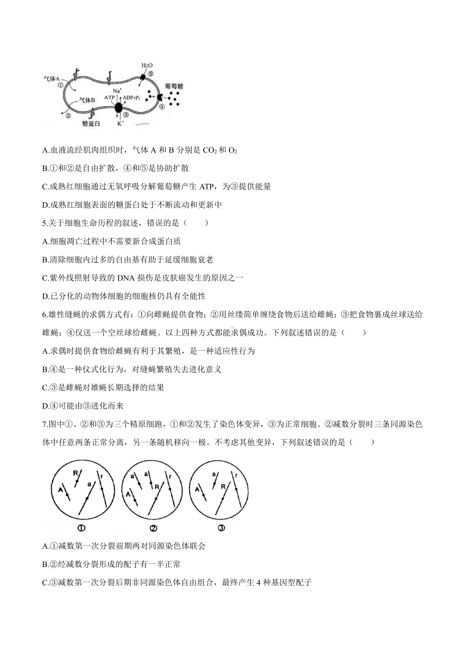 2021年河北省生物高考真题（word档原卷精校版）.doc_第2页