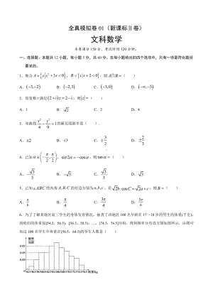 高三文科数学全真模拟卷.pdf