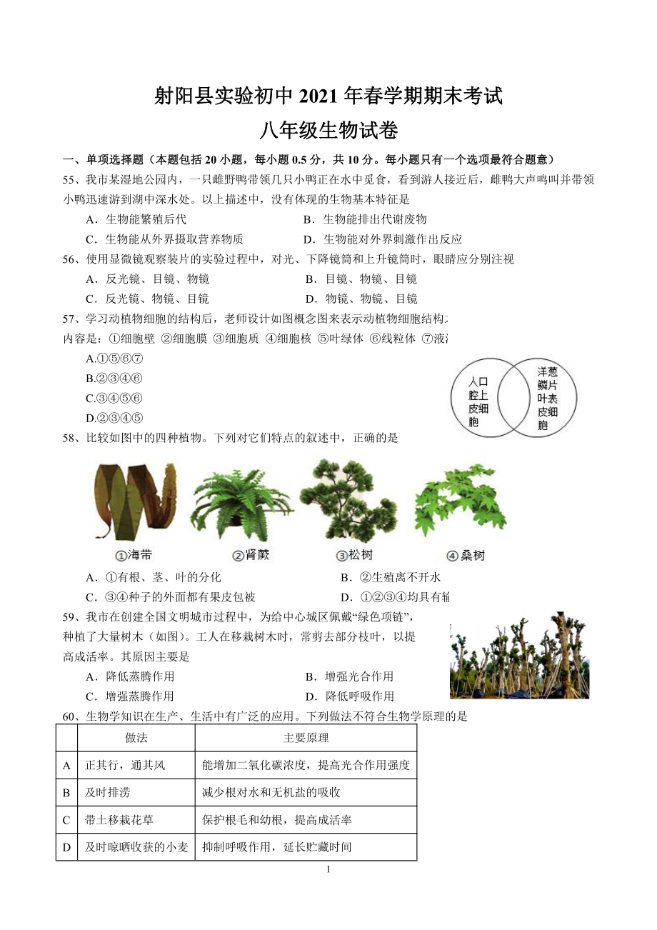 2021盐城射阳实验八年级下学期生物期末试卷.pdf_第1页