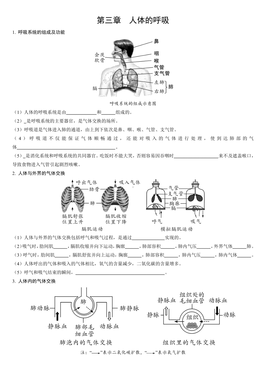 人教七年级下册复习提纲-无答案（扣空）.pdf_第3页