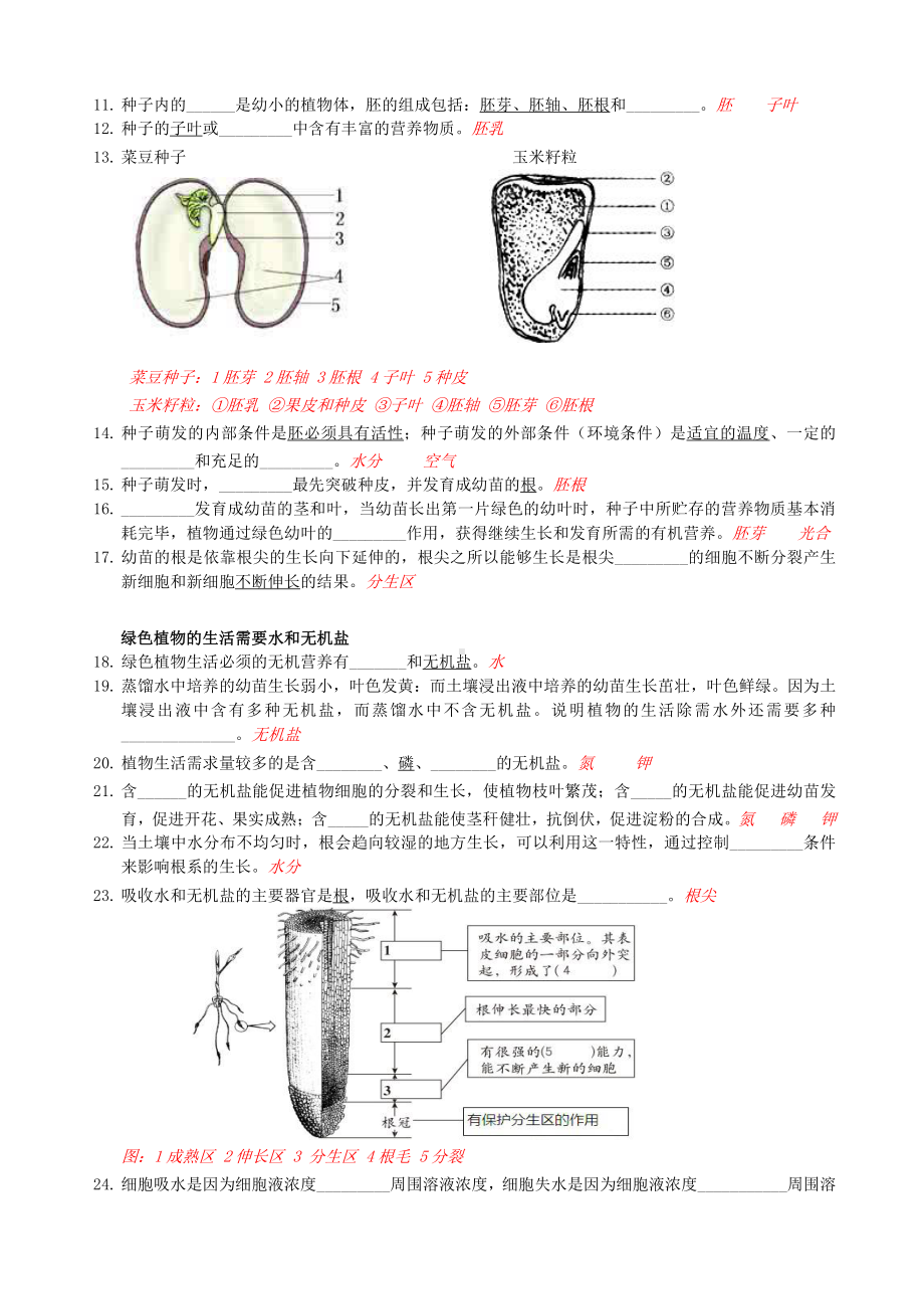 北京延庆区中考生物复习03主题三《生物圈中的绿色植物》.docx_第2页