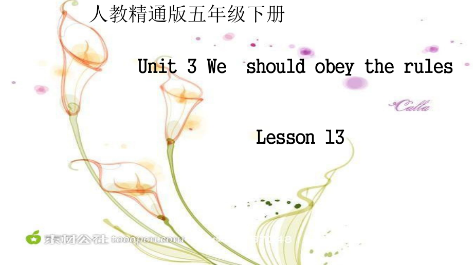 人教精通版五年级下册英语Unit 3 We should obey the rules.-Lesson 13-ppt课件-(含教案)-市级优课-(编号：303d2).zip