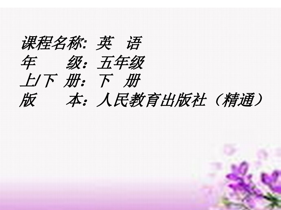 人教精通版五年级下册英语Unit 3 We should obey the rules.-Lesson 13-ppt课件-(含教案+音频)-公开课-(编号：90826).zip