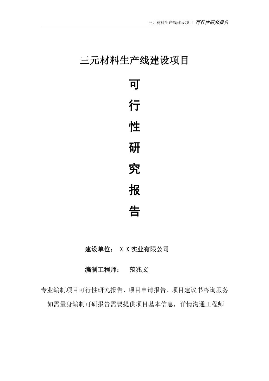 三元材料生产线项目可行性研究报告-完整可修改版.doc_第1页