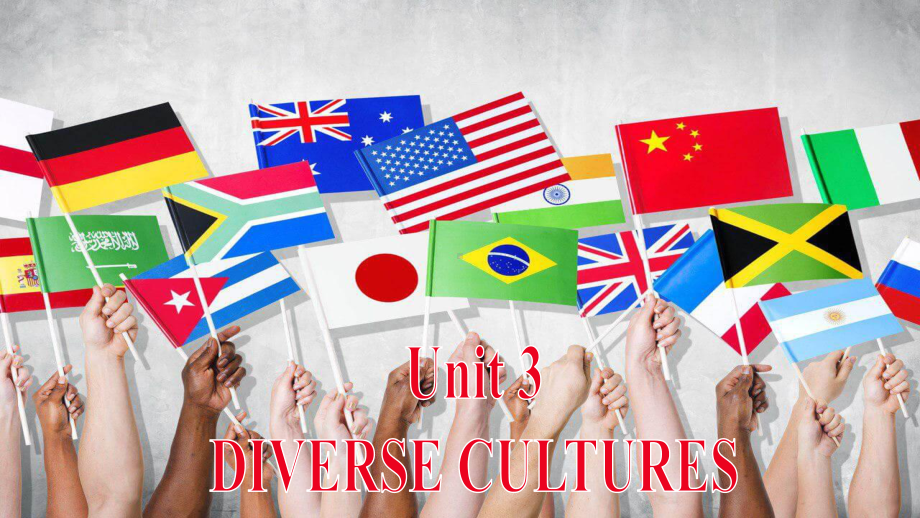 2019新人教版 高中英语 必修第三册Unit 3 Diverse Cultures Reading and Thinkingppt课件.pptx_第1页