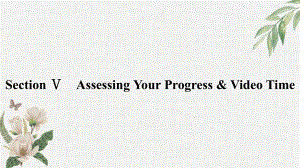 2019新人教版 高中英语 必修第三册 UNIT 5　THE VALUE OF MONEY Section Ⅴ　Assessing Your Progress & Video Timeppt课件.pptx