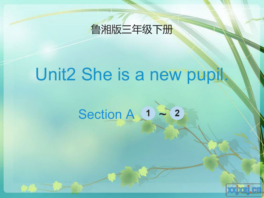 湘鲁版三年级下册英语Unit 2 She is a new pupil.-Section A-ppt课件-(含教案)--(编号：80a7d).zip