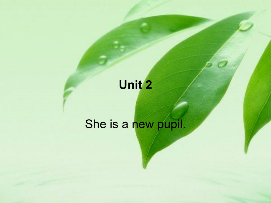 湘鲁版三年级下册英语Unit 2 She is a new pupil.-Section A-ppt课件-(含教案)--(编号：7008c).zip