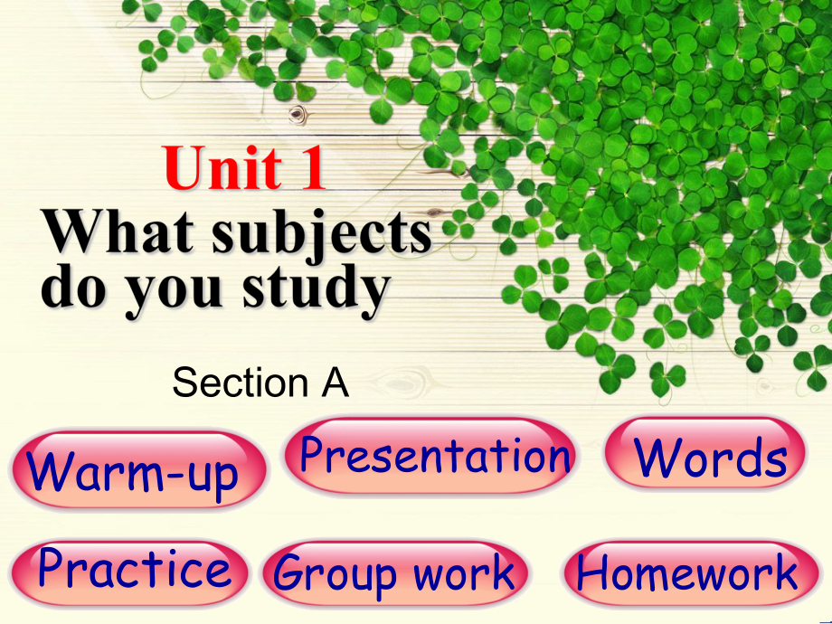 湘鲁版五下Unit 1 What subjects do you study -Section A-ppt课件-(含教案)--(编号：a049c).zip