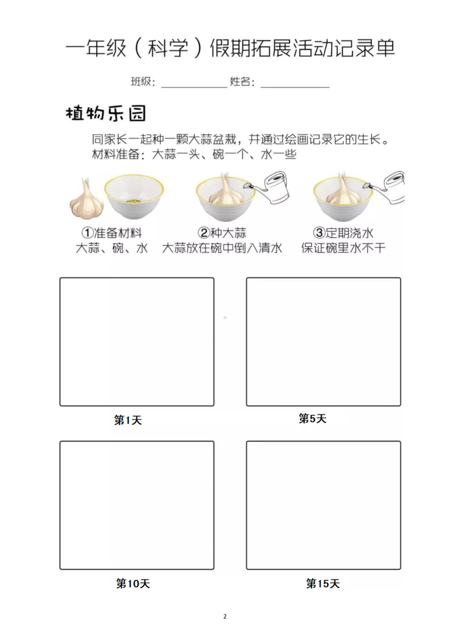 小学科学一年级暑假作业《种植盆栽》.doc_第2页