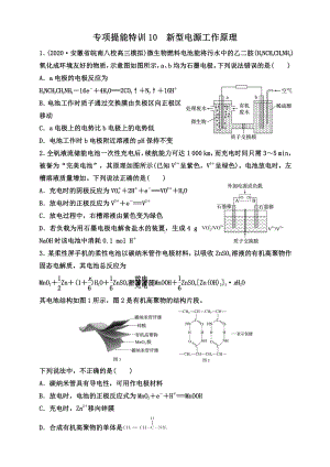 第30讲 专项提能特训10　新型电源工作原理.doc