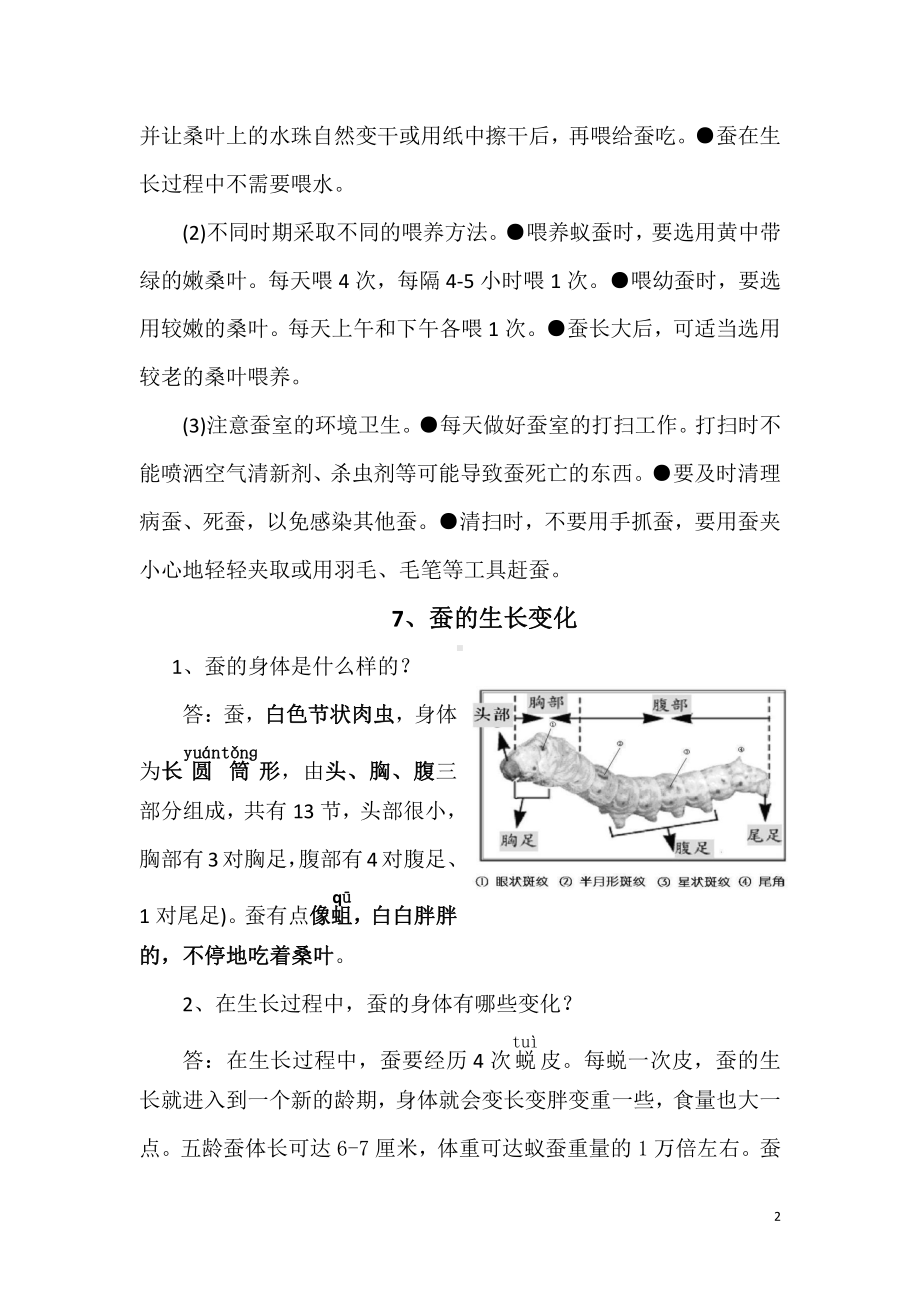 2020新鄂教版四年级下册科学第二单元复习知识点.docx_第2页